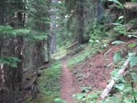 Entering Yoho NP